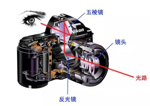 什么是單反的五棱鏡？